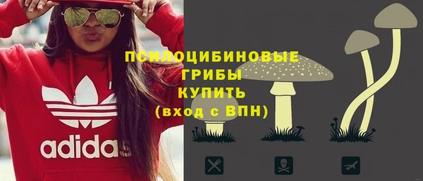 гашик Баксан