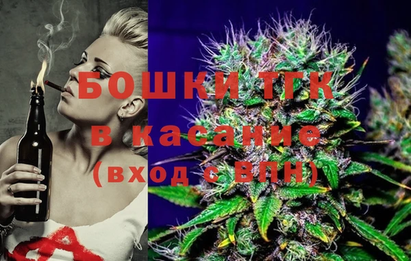 стафф Осинники